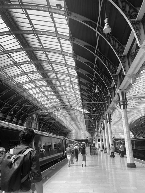 Inside a modern railway station with a high, curved glass roof supported by metal beams, providing natural light to the spacious platform area. Several passengers can be seen waiting or walking along the platform, including a person in the foreground wearing a backpack. Adjacent to the platform are train tracks with a train partially visible on the left side of the image. The station features ornate metal columns supporting the roof structure and hanging industrial-style lamps. The environment is clean and organized, with a bright and airy atmosphere created by the extensive glasswork. This setting illustrates an example of independent travel infrastructure that requires regular rubbish removal and cleaning, representing how private and public transportation facilities manage waste collection and upkeep to maintain a tidy environment for commuters. Waste Removal Paddington may be involved in ensuring these spaces are kept clear of debris through scheduled rubbish collection services, essential for efficient and hygienic transport hubs, especially when handling the large volume of passengers and waste generated within such public areas.